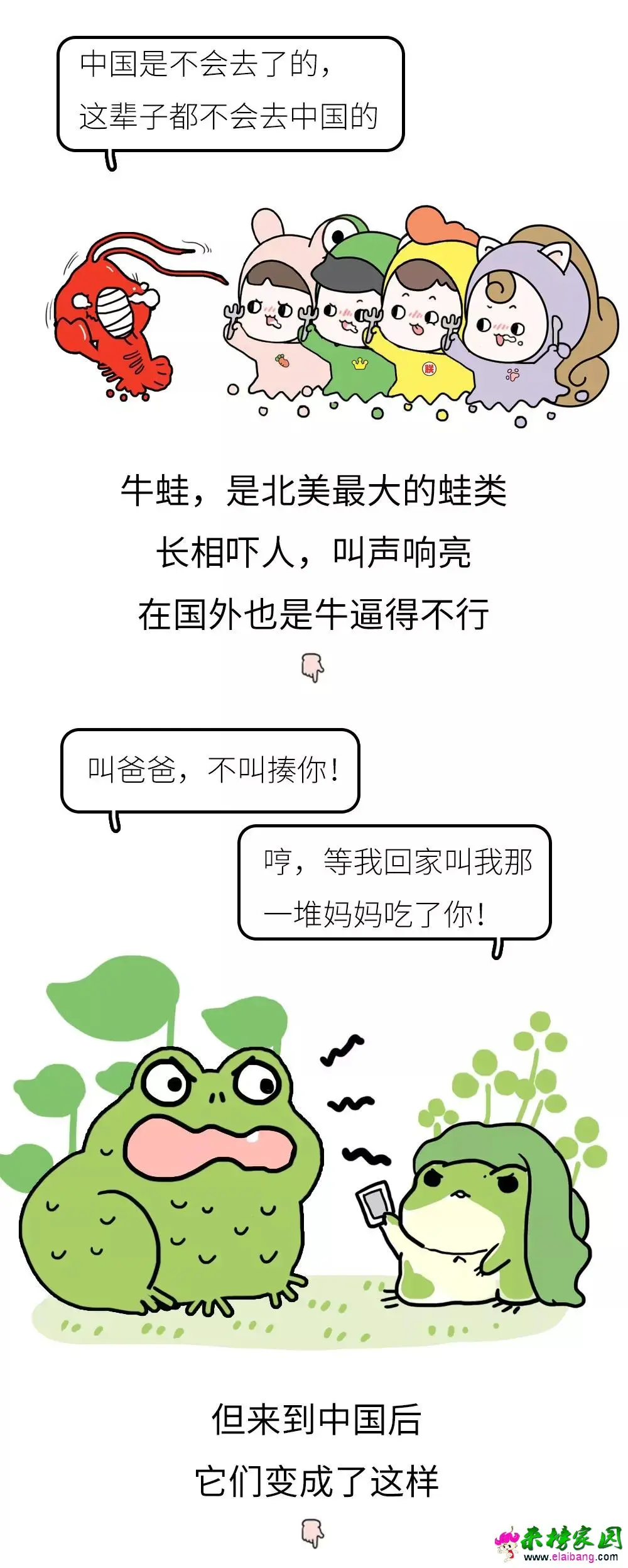 65e755ed03727f9d507e8f3c7ac7397d.webp
