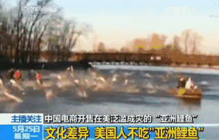 6e3ffc22f676847372a741fb9cd87b7e.gif