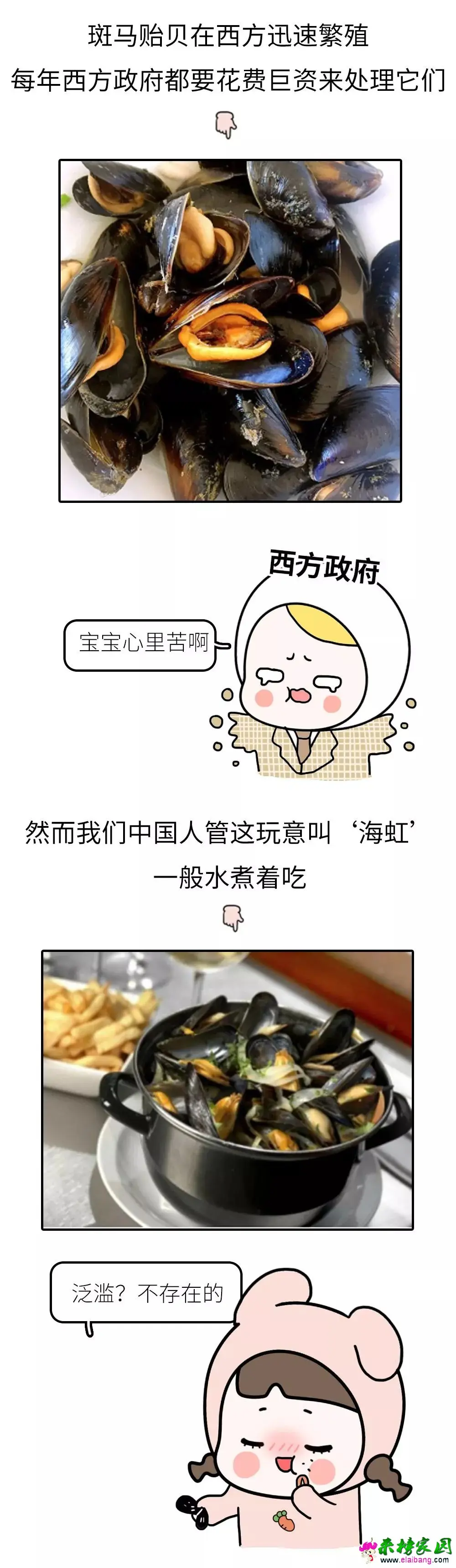 9ae5c9de5150222ae941ecd775239dc6.webp