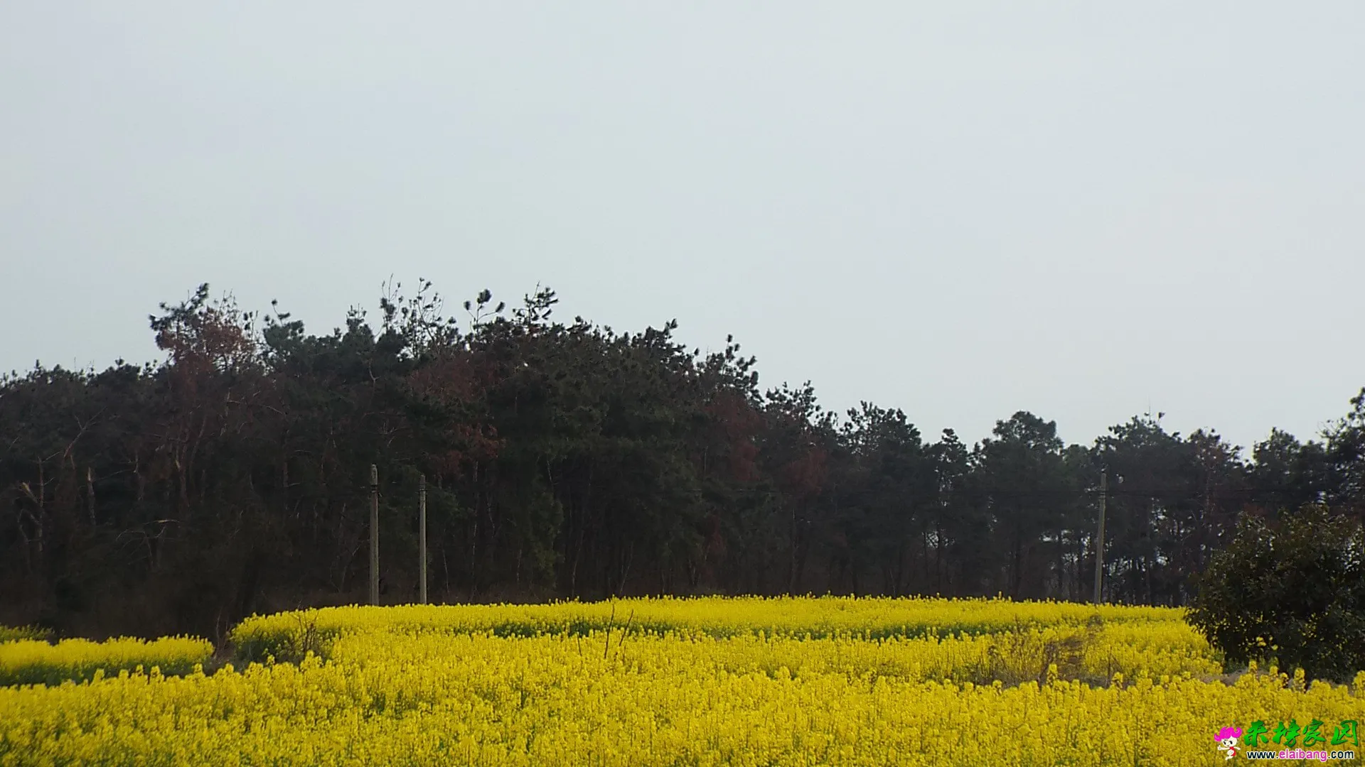 DSCF1424.webp