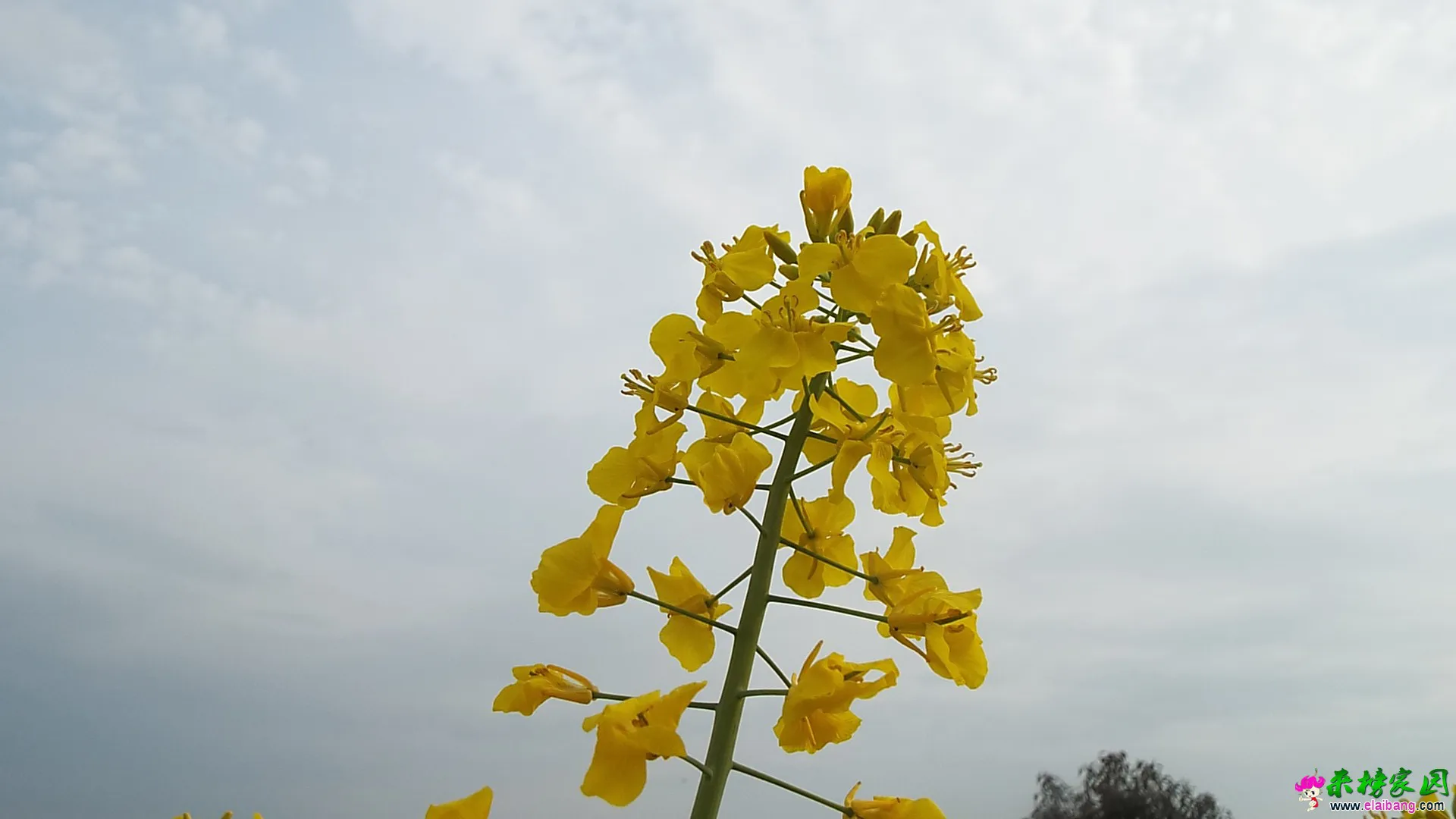 DSCF1426.webp