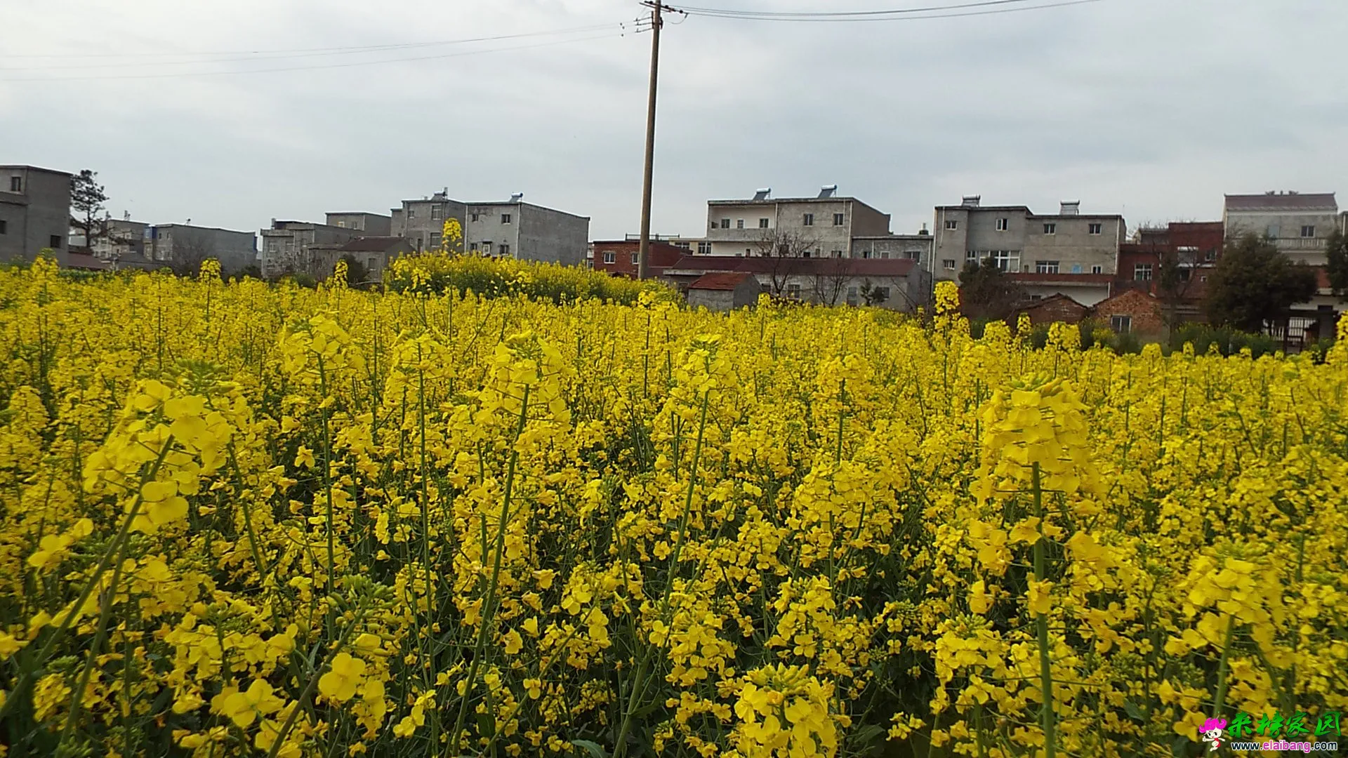 DSCF1427.webp