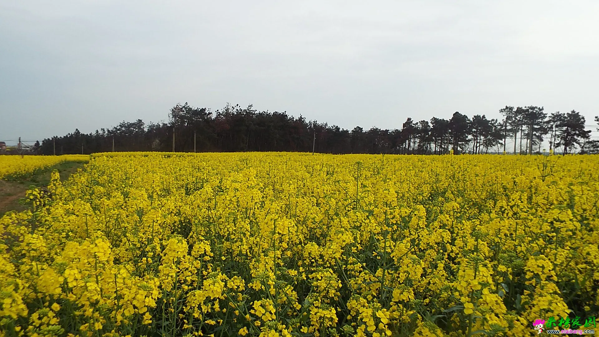 DSCF1428.webp