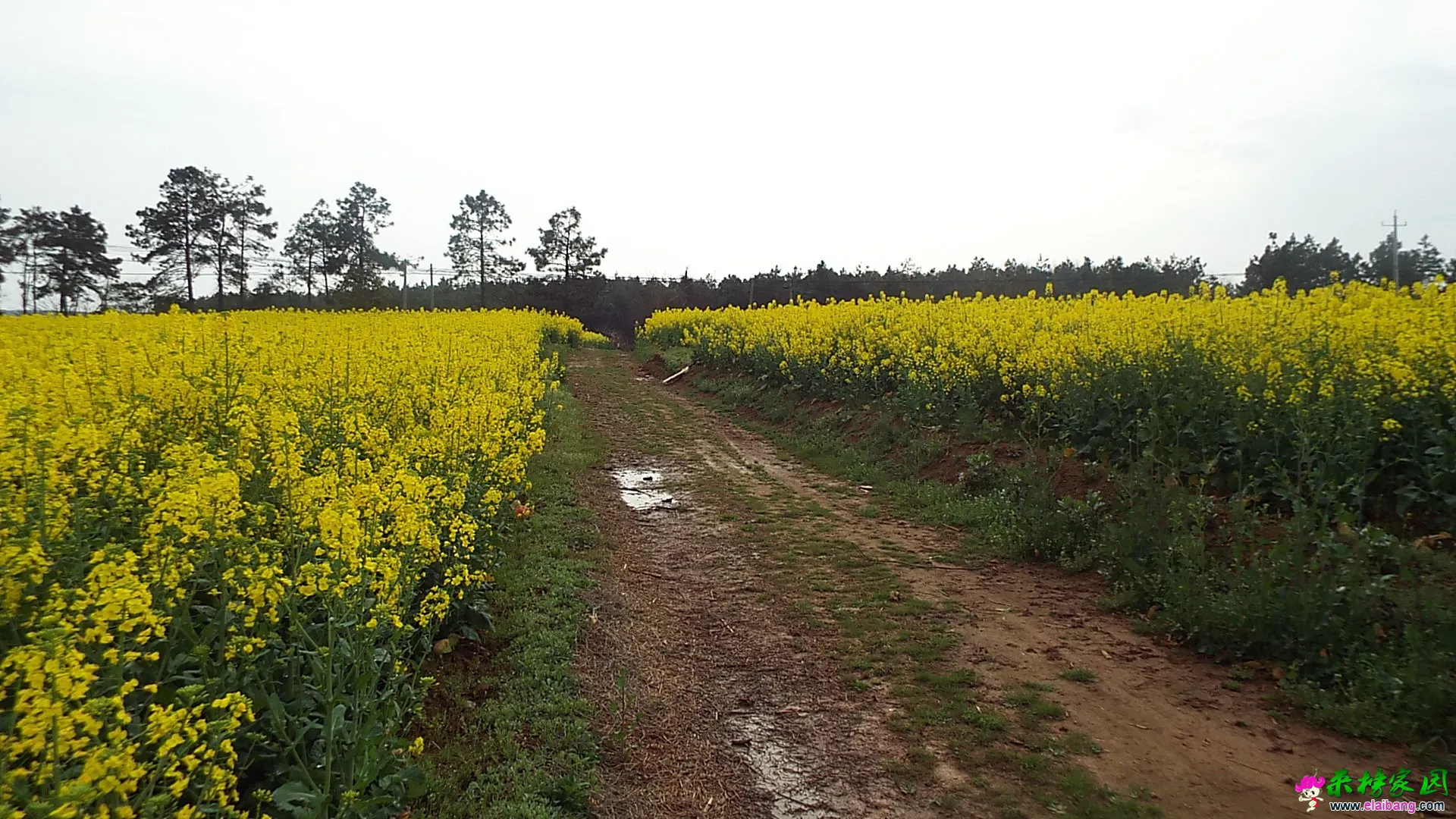 DSCF1429.webp