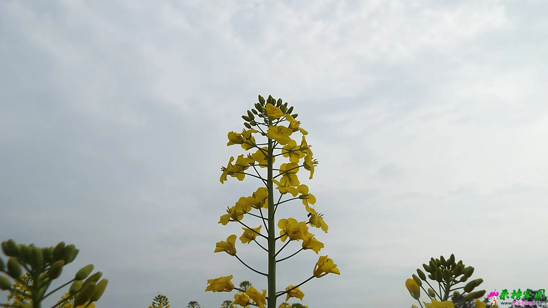 DSCF1430.webp