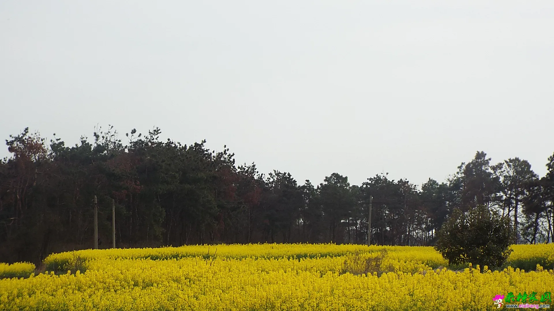 DSCF1431.webp
