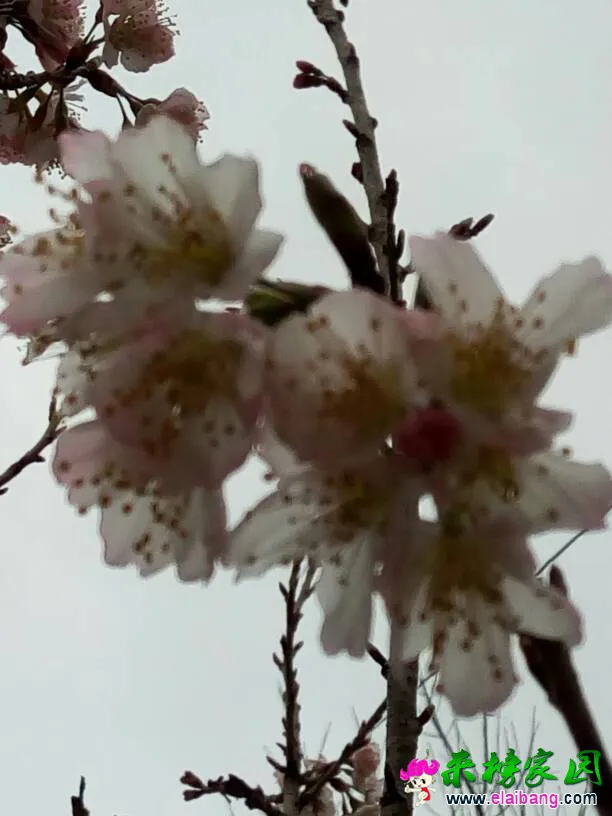 074532dx75rzxrx761wbw7.webp