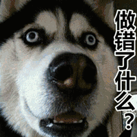 6b253b25586426762ba5ae5cbeac7b2e.gif