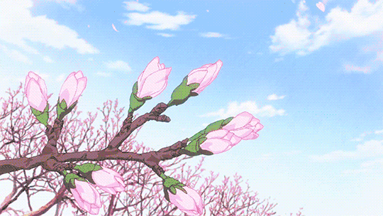 6f2a959ffe6491a66a87c06702ca09f5.gif