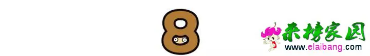 8f89b671f8f341a43b82d569aa034f25.webp