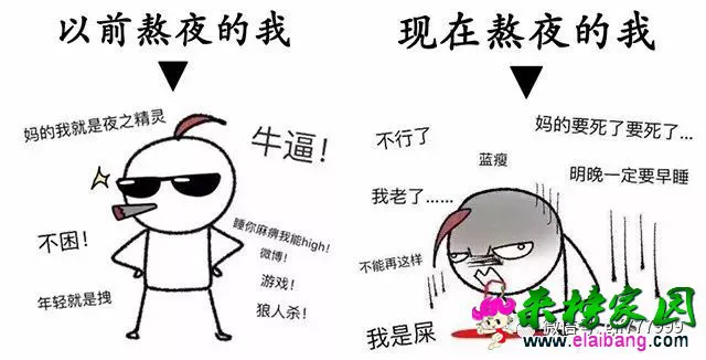 ab974ab6dbdef563d9fd29cbfd2f8470.webp