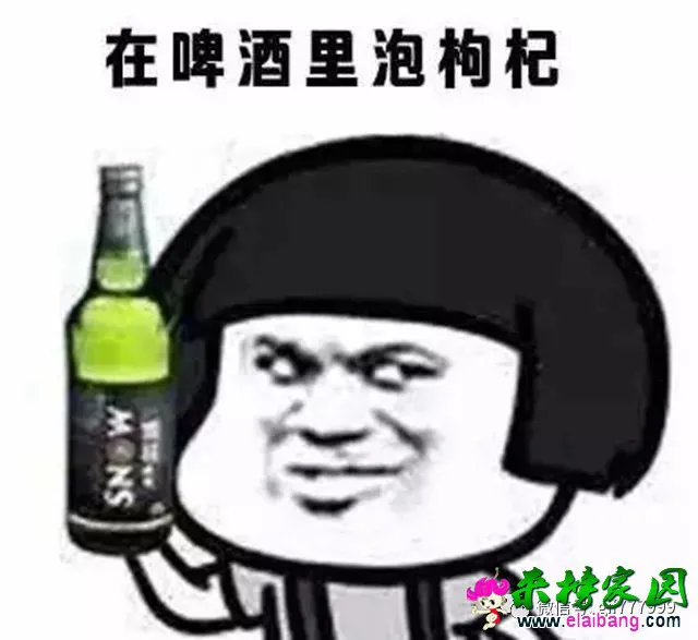 e14da9b2f1e8709985769615f77c4e75.webp