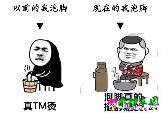 1fb505103b053313f0592c1b2c7dd2eb.webp