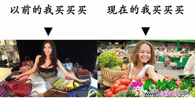 ec8b97bed4ae413c5a55fe97961605ea.webp