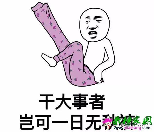 251846d70b7e51a6547474b2701405e2.webp