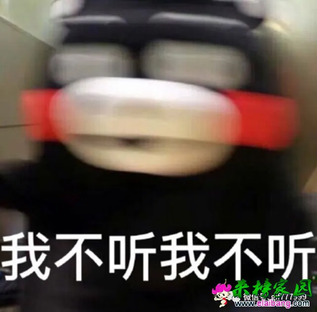 a60f714640ad4b4dc40b193f0e6af560.webp