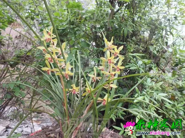 9fde90a4f259011c0625b714cc3010ab.webp