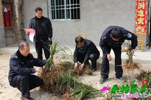 9d6b7abf02ecdcc06acf494e557a63dc.webp