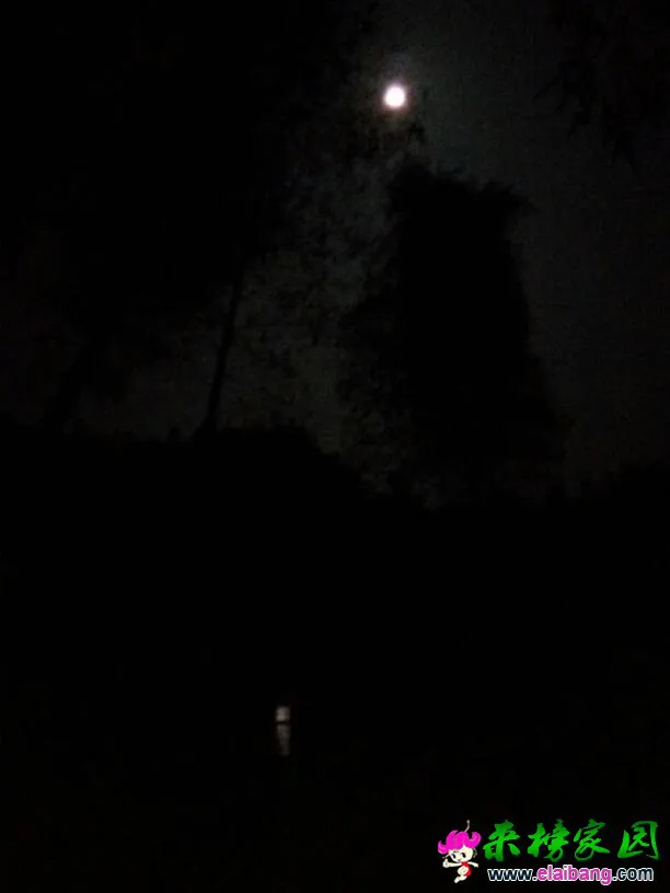 104200vxs4xdhqabihzuud.webp