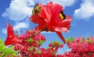 psb_(7).webp