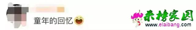 bb05d29deca95ca8349e69c82b80dc70.webp