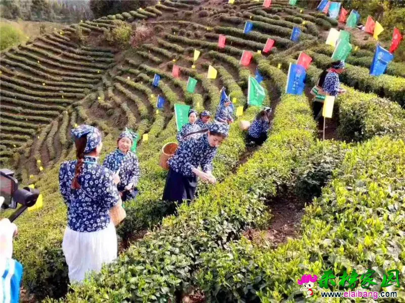 微信图片_20180411210601.webp