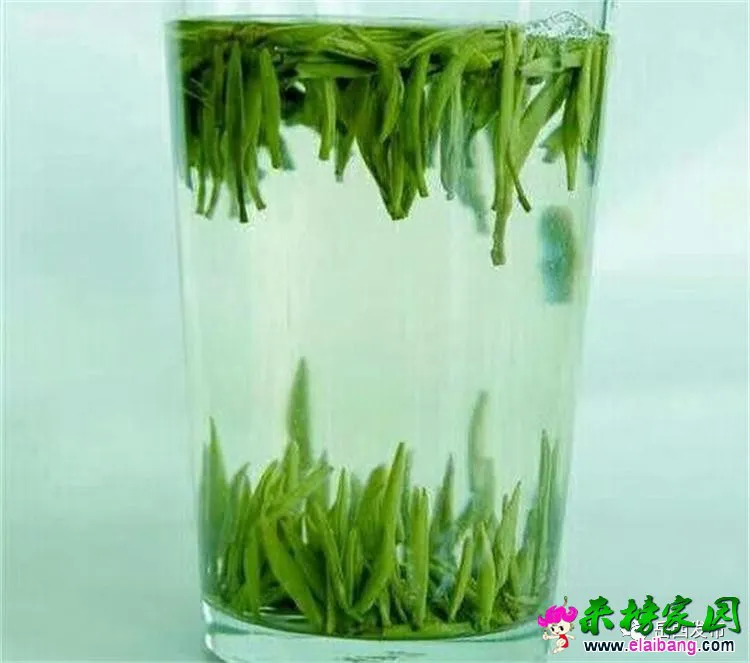 f0e5865979dd7f381bfab86e2d8d5b6a.webp