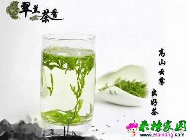 01808a006aa7f0bba6909ae8ff70e217.webp