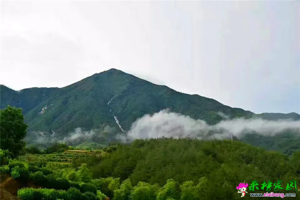 微信图片_20180413214533.webp