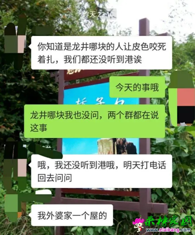 8e2db483b77840863d346e6ece764526.webp