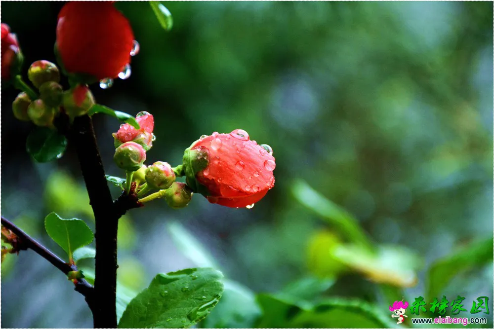 DSC_5190.webp