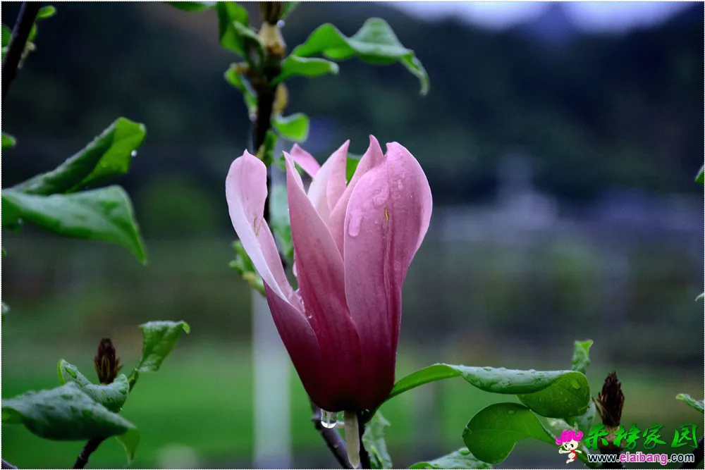DSC_5195.webp