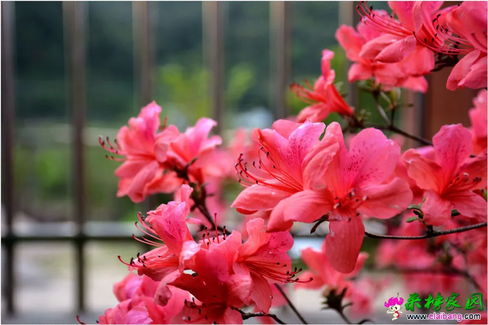 DSC_5219.webp