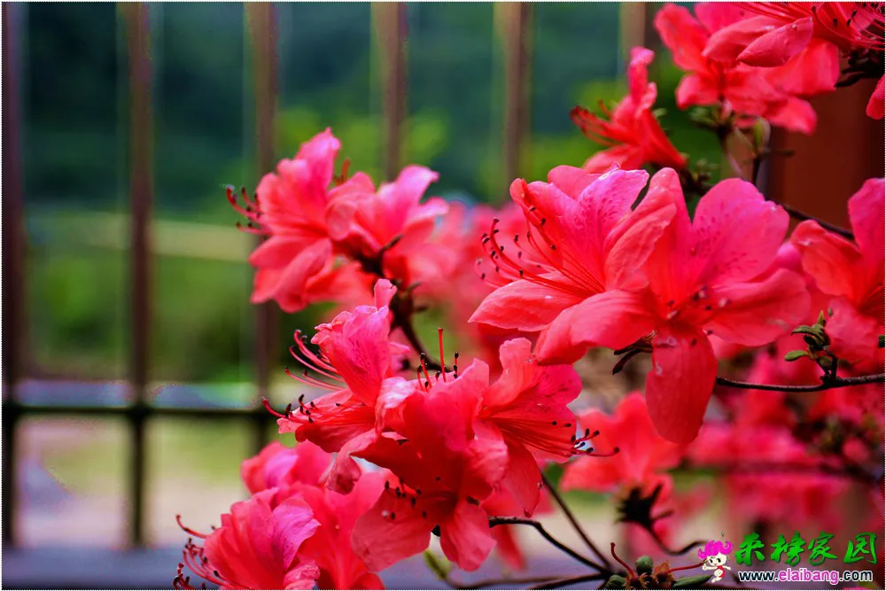 DSC_5218.webp