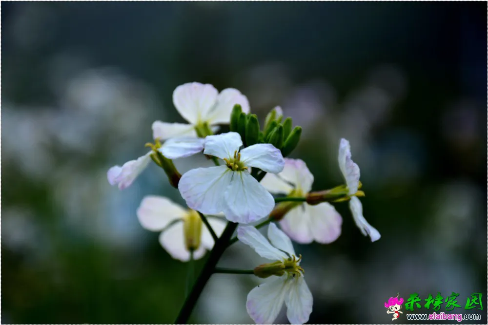 DSC_5223.webp