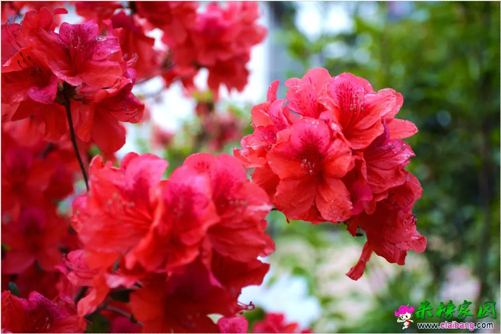DSC_5239.webp