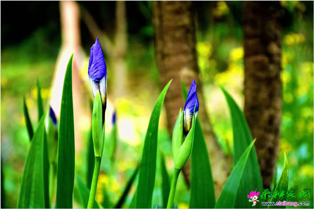 DSC_5234.webp