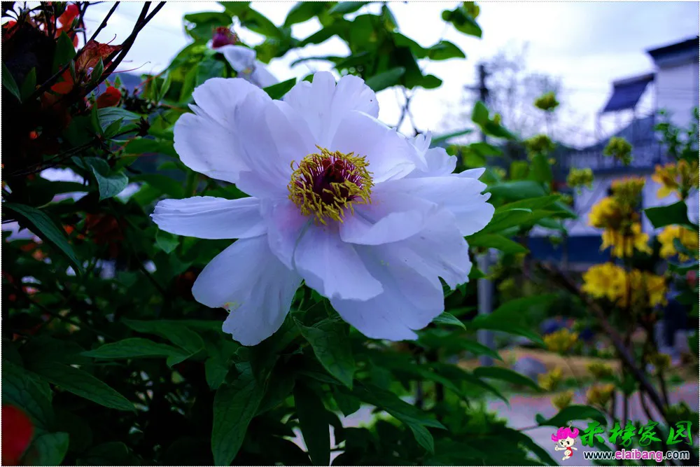 DSC_5241.webp