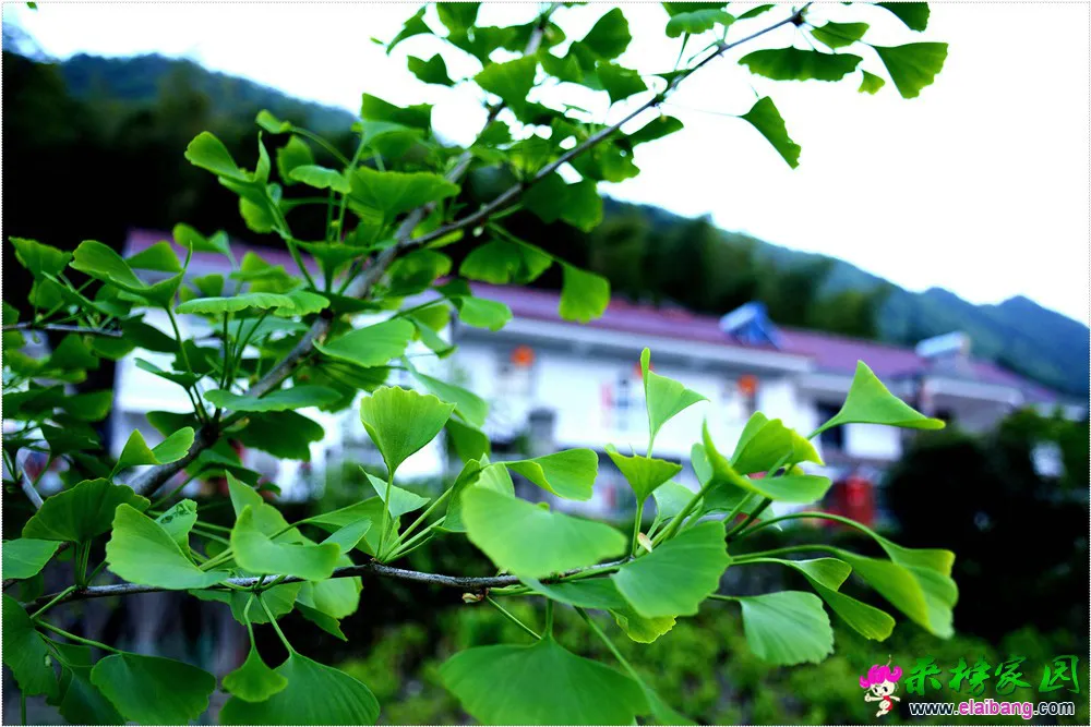 DSC_5252.webp