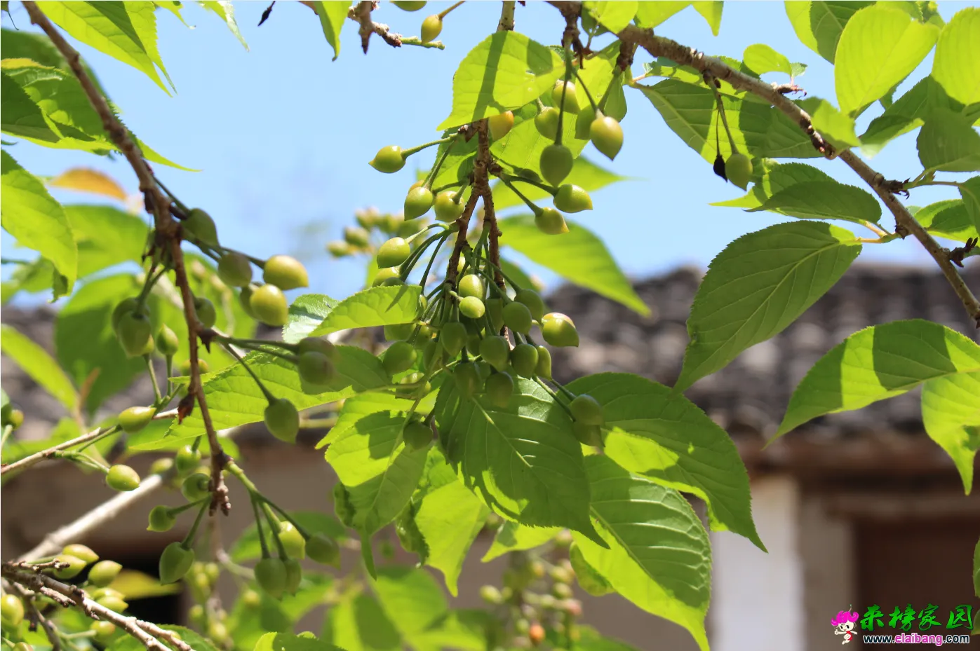 QQ图片20180419134930.webp