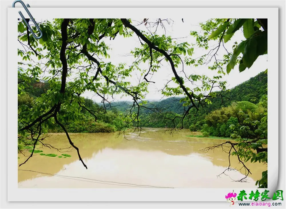 DSC_5308.webp