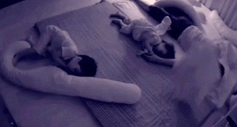 833baaa1c3a111034d4d262c79f32468.gif