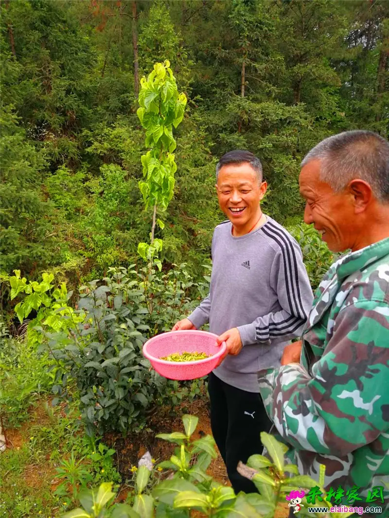 微信图片_20180425200148.webp
