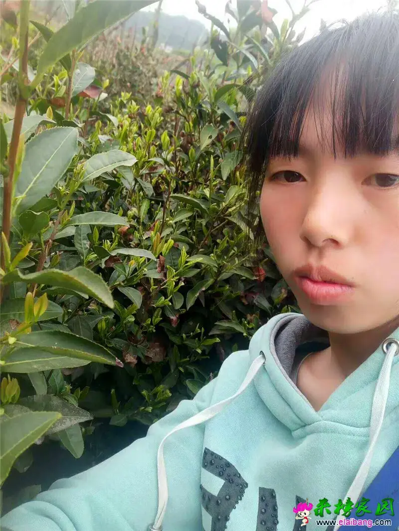 微信图片_20180425213852.webp