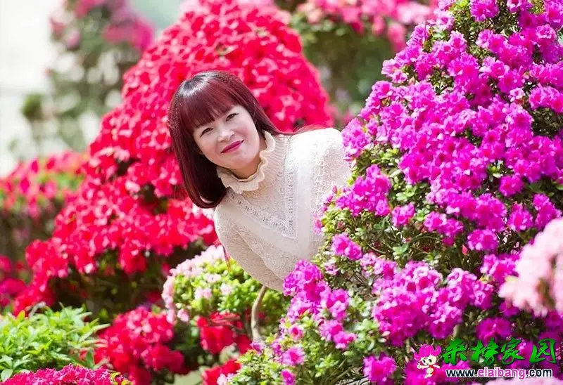 09df4b61db5b630e538a665d9d303ade.webp