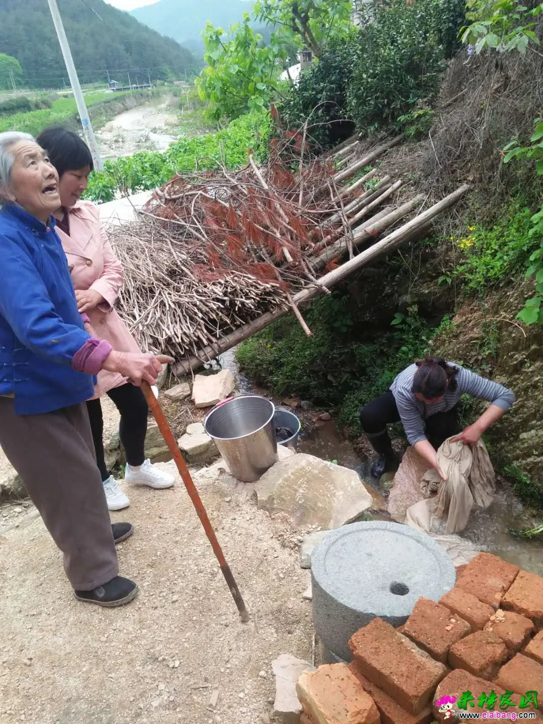 微信图片_20180427024239.webp