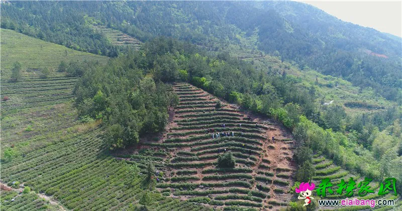 DJI_0046.webp