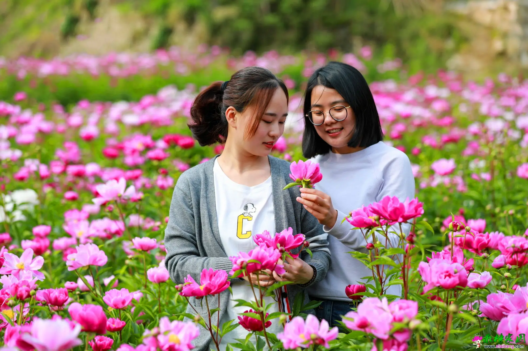 微信图片_20180428211533.webp