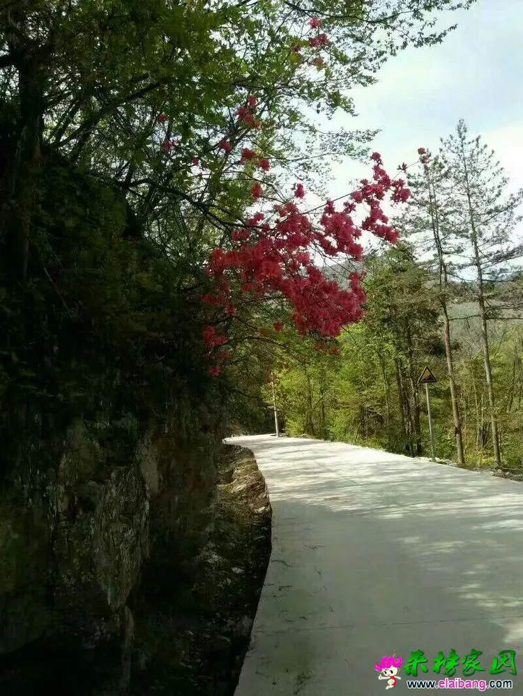 20180429_204801_001.webp