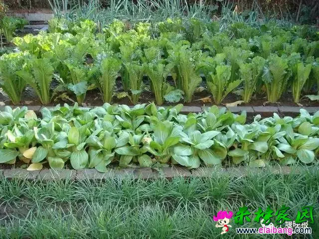 af0f51102f89659d781ba20cff132e10.webp